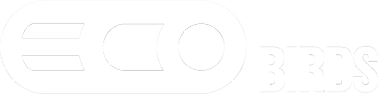 ECOBIRDS,Leading Brand in Bird Control and Removal,Pest control,Pigeons