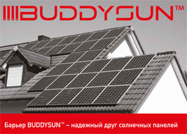 ECOBIRDS,Leading Brand in Bird Control and Removal,Pest control,Pigeons - Brochure