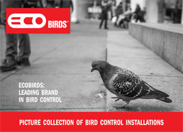 ECOBIRDS,Leading Brand in Bird Control and Removal,Pest control,Pigeons - Brochure