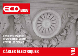 ECOBIRDS,Leading Brand in Bird Control and Removal,Pest control,Pigeons - Brochure